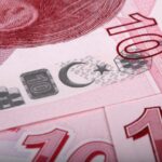 Monete da 10 lire con valore collezionistico, alcune possono valere fino a 200 euro.