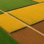 Composizione fotografica col drone: ecco le regole che cambiano tutto